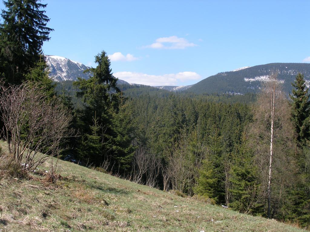 Pecka Penzion Pec pod Sněžkou Exterior foto